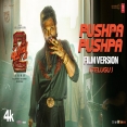 Pushpa Pushpa (Pushpa 2 The Rule) Nakash Aziz,Deepak Blue