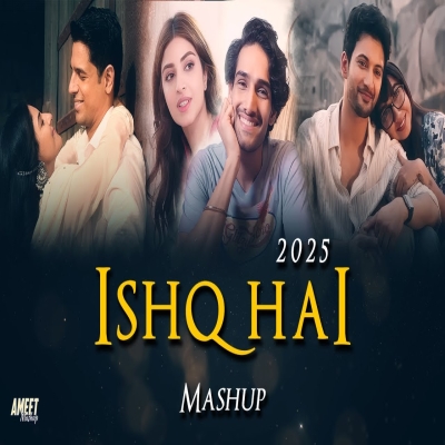 Ishq Hai Love Mashup 2025  AMEET Mashup  Mismatched 3  Tere Bina Na Guzara E  Best of Love 2024